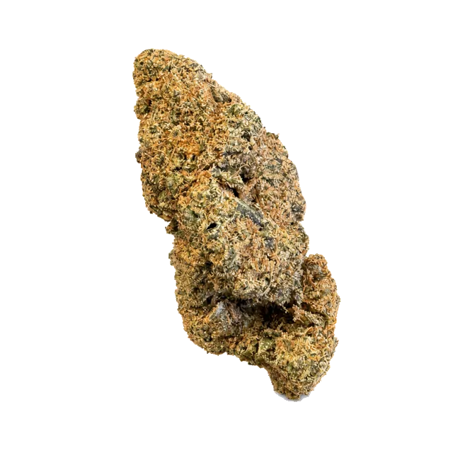 Acapulco Gold nug